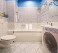 Prerobený 2i byt v príjemnej lokalite Bánoviec nad Bebravou - Kúpeľňa v 2-izbovom byte so sprchovacím kútom, umývadlom a práčkou.