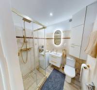 PRENÁJOM 1 IZB. BYT blízko centra, Bánovce nad Bebravou - Kúpeľňa so sprchovacím kútom, toaletou a umývadlom v 1-izbovom byte.