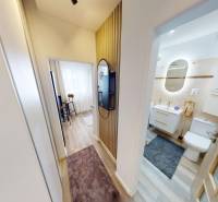 PRENÁJOM 1 IZB. BYT blízko centra, Bánovce nad Bebravou - Chodba v 1-izbovom byte s podlahou s dreveným dekorom, kúpeľňa a pracovný kútik.