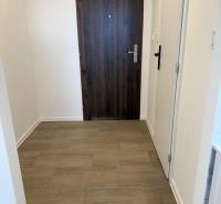  Prenájom garsónky po kompletnej rekonštrukcii (možnosť odkúpenia) - Interiér garsónky so vstupnými dverami a podlahou s dreveným dekorom.