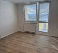  Prenájom garsónky po kompletnej rekonštrukcii (možnosť odkúpenia) - Garsónka s podlahou s dreveným dekorom a veľkým oknom, poskytujúcim výhľad do okolia.