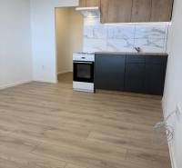  Prenájom garsónky po kompletnej rekonštrukcii (možnosť odkúpenia) - Garsónka s kuchynskou linkou, sporákom a podlahou s dreveným dekorom.