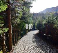 LUKRATÍVNA CHATA - NOVOSTAVBA - SRDCE VRÁTNEJ DOLINY - Lesná cesta obklopená stromami v Terchovej, vedie ku chate v horskom prostredí.