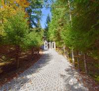 LUKRATÍVNA CHATA - NOVOSTAVBA - SRDCE VRÁTNEJ DOLINY - Lesná cesta vedúca k chate v Terchovej, lemovaná hustými ihličnatými stromami.