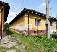 Rodinný dom s veľkým pozemkom o výmere 3271m2  na predaj - Rodinný dom v Partizánskej Ľupči s nádychom histórie, obklopený zelenou trávou a chodníkom.