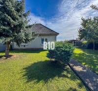 Rodinný dom s veľkým pozemkom (4641 m2)  - Ondrejovce - Rodinný dom v Ondrejovciach s trávnatou záhradou, dvoma stromami a kríkom pri chodníku.