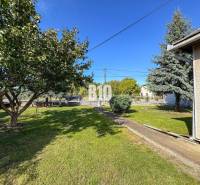 Rodinný dom s veľkým pozemkom (4641 m2)  - Ondrejovce - Záhrada pri rodinnom dome v Ondrejovciach s trávnikom, stromami a kríkmi.