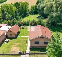 Rodinný dom s krásnym veľkým pozemkom ( stavebným) - Nové Sady - Rodinný dom v Nových Sadoch s veľkou záhradou a obklopený zeleňou.