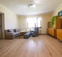 Rodinný dom s krásnym veľkým pozemkom ( stavebným) - Nové Sady - Obývačka v rodinnom dome s dreveným nábytkom, sivým gaučom a svetlým podlahovým obložením.