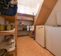 Rodinný dom s krásnym veľkým pozemkom ( stavebným) - Nové Sady - Špajza v rodinnom dome s policami, konzervami a staršou chladničkou.