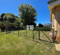 Rodinný dom s krásnym veľkým pozemkom ( stavebným) - Nové Sady - Záhrada rodinného domu v Nových Sadoch, oplotená trávnatá plocha, stromy a kríky.