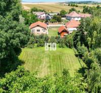 Rodinný dom s krásnym veľkým pozemkom ( stavebným) - Nové Sady - Záhrada obklopená zeleňou a rodinnými domami v Nových Sadoch.