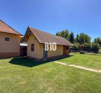 Rodinný dom s krásnym veľkým pozemkom ( stavebným) - Nové Sady - Rodinný dom v Nových Sadoch s priestranným dvorom, vedľa malého hospodárskeho objektu.