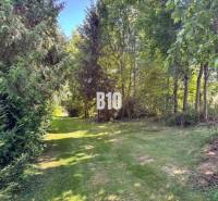 Rodinný dom s krásnym veľkým pozemkom ( stavebným) - Nové Sady - Záhrada pri rodinnom dome v Nových Sadoch obklopená stromami a trávnatým chodníkom.