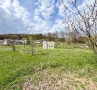 Jelenec  - Nádherný pozemok pri lese - 687 m2 - Pozemky - bývanie v Jelenci s ovocnými stromami a domami v pozadí pod modrou oblohou.