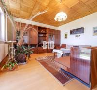 Rodinný dom s nádherným 8 árovým pozemkom na Kamennej ulici - Obývačka v rodinnom dome s podlahou s dreveným dekorom a dreveným stropom.