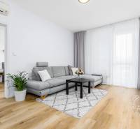 TOP lokalita na začiatku Petržalky, DVE VEŽE, Bosákova ul. - Obývacia izba v 2-izbovom byte s podlahou s dreveným dekorom, sedačkou a televízorom.