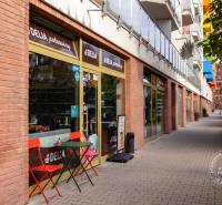 TOP lokalita na začiatku Petržalky, DVE VEŽE, Bosákova ul. - Obchod Delia Potraviny na ulici Lužná v Bratislave - Petržalke s farebnými balkónmi.