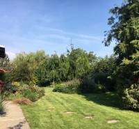 Dom s garážou na peknom rovinatom pozemku so šírkou 24m. - Záhrada pri rodinnom dome v Čiernej Vode s bohatou výsadbou a udržiavaným trávnikom.