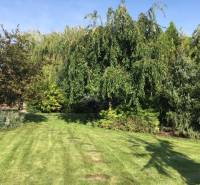 Dom s garážou na peknom rovinatom pozemku so šírkou 24m. - Záhrada pri rodinnom dome v Čiernej Vode, lemovaná stromami a upraveným trávnikom.