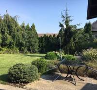 Dom s garážou na peknom rovinatom pozemku so šírkou 24m. - Záhrada rodinného domu v Čiernej Vode s trávnikom, stromami a vonkajším sedením.