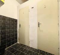 Na predaj objekt vhodný na podnikanie – Trenčín, Záblatie - Tmavá dlažba, biele steny a dvere v interiéri rodinného domu.