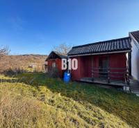 Na predaj  vinica v krásnej lokalite - 895 m2 - Nitra - Vidiecky domček a záhrady v Nitre počas slnečného dňa.