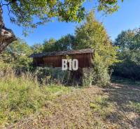 Glamping ? Chov dobytka ? - Usadlosť so 16 hektármi - Lackov - Chata v Lackove obklopená trávou a stromami počas slnečného dňa.