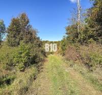 Glamping ? Chov dobytka ? - Usadlosť so 16 hektármi - Lackov - Chata v Lackove obklopená prírodou a zelenou cestičkou vedúcou k lesu.