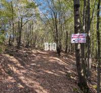 Glamping ? Chov dobytka ? - Usadlosť so 16 hektármi - Lackov - Lesná cesta v Lackove s nápisom zakazujúcim vstup na súkromný pozemok.