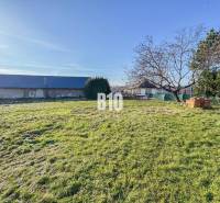 1786 m2 - základová doska - stavebné povolenie + projekt - Mojmírovce - Pozemok s trávnikom, stromom a stavbou na bývanie v pozadí.