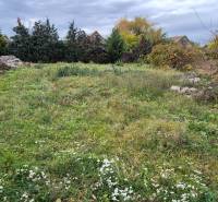 Znížená CENA- PREDAJ pozemok na výstavbu rodin.domu Tvrdošovce 1815m2 - Zeleň na pozemku určenom na bývanie v Tvrdošovciach, s domami a stromami v pozadí.