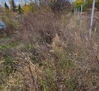 Znížená CENA- PREDAJ pozemok na výstavbu rodin.domu Tvrdošovce 1815m2 - Pozemok v Tvrdošovciach vhodný na bývanie s prírodnou vegetáciou a stromami.