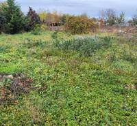 Znížená CENA- PREDAJ pozemok na výstavbu rodin.domu Tvrdošovce 1815m2 - Zarastený pozemok na bývanie v Tvrdošovciach s hustou vegetáciou a okolitými stromami.