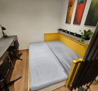 Kompletne zrekonštruovaná garsónka - BA Nové mesto - Garsónka s posteľou, stolom, kreslami a dekoratívnymi obrazmi, podlaha s dreveným dekorom.