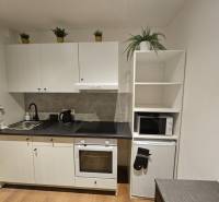 Kompletne zrekonštruovaná garsónka - BA Nové mesto - Kuchyňa v garsónke s bielymi skrinkami a podlahou s dreveným dekorom.