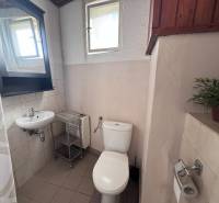 RODINNÝ DOM, HOS. BUDOVA, POZEMOK 467m2, SENICA-KUNOV. - Kúpeľňa v rodinnom dome s WC, umývadlom, sprchovým závesom a oknom, ozdobená rastlinou.