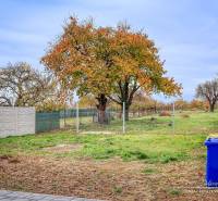 3-izbový moderne zrekonštruovaný rodinný dom v obci Jaslovské Bohunice - Záhrada rodinného domu na Orechovej ulici v Jaslovských Bohuniciach s jesenným stromom a plotom.