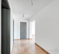 3-izbový moderne zrekonštruovaný rodinný dom v obci Jaslovské Bohunice - Chodba v rodinnom dome s podlahou s dreveným dekorom a dverami antracitovej farby.