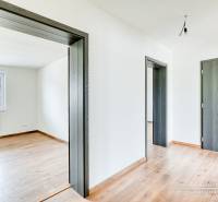 3-izbový moderne zrekonštruovaný rodinný dom v obci Jaslovské Bohunice - Rodinný dom s podlahou s dreveným dekorom, dverami a bielymi stenami.