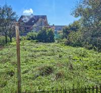 REZERVOVANÉ Starší 2-izbový rodinný dom v obci Dobrá Voda - Záhrada pri rodinnom dome na ulici Dobrej Vody v meste Dobrá Voda.