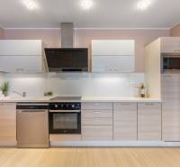 Moderný rodinný dom s bazénom v Trnave!!! - Kuchyňa v rodinnom dome s kuchynskou linkou, vstavanými spotrebičmi a podlahou s dreveným dekorom.