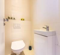 Moderný rodinný dom s bazénom v Trnave!!! - Kúpeľňa s umývadlom a toaletou v rodinnom dome, svetlé obklady, dekorácie.