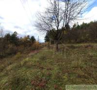 Dva pozemky nad obcou Hlboké nad Váhom, v lone nádhernej prírody, na p - Jeseň v prírodnej záhrade v Hlbokom nad Váhom, s rozmanitými stromami a trávou.