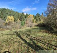 Pozemok s nádherným výhľadom pri Bytči na predaj! - Rozmanité stromy a zelená tráva v Záhradách pri Hlbokom nad Váhom pod modrou oblohou.