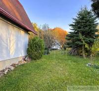 Záhrada s chatkou pod Malými Karpatami, Sološnica - Jeseň v Sološnici pri chate, obklopené zeleňou a ihličnanmi.