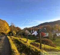Záhrada s chatkou pod Malými Karpatami, Sološnica - Chaty v jesennej Sološnici obklopené lesmi a slnkom osvetlená cesta.