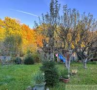 Záhrada s chatkou pod Malými Karpatami, Sološnica - Jesenná záhrada pri chate v Sološnici s farebnými stromami a lavičkou.