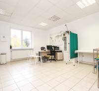 Na predaj ambulancia 101m2, Bratislavská ul. - Žilina - Svetlá kancelária s kancelárskym stolom, stoličkami, rastlinou a mapou na stene.