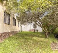 5i RD s garážou, Čierna Lehota, okr. Bánovce n./B. - Rodinný dom v Čiernej Lehote s trávnikom a stromami okolo domu.